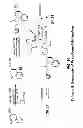 Fig. 29 - NUCLEIC ACID BINDING COMPOUNDS, METHODS OF MAKING, AND USE THEREOF