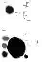 Fig. 02 - Binder powders