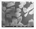 Fig. 01 - Spinel powder and manufacturing process therefor, and processes for producing thermal spraying film and gas sensor elements