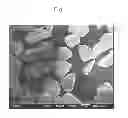Fig. 02 - Spinel powder and manufacturing process therefor, and processes for producing thermal spraying film and gas sensor elements