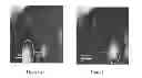 Fig. 02 - Self-repairing and self-sustaining autonomous machines
