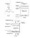 Fig. 08 - HYBRID NANOPARTICLE TFC MEMBRANES