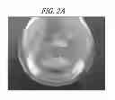 Fig. 04 - Aluminum precursor composition