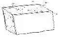 Fig. 01 - Uniform texture for cast in place walls