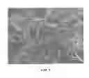 Fig. 02 - ACTIVE MATERIALS FOR LEAD ACID BATTERY