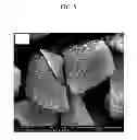 Fig. 06 - Negative electrode active material for rechargeable lithium battery, method for preparing the same, and rechargeable lithium battery including the same
