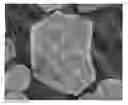 Fig. 01 - Positive active material for rechargeable lithium battery, method for preparing same and rechargeable lithium battery including same