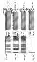 Fig. 25 - Multiple step printing methods for microbarcodes