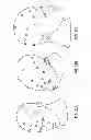 Fig. 22 - SYSTEMS AND METHODS TO GATHER AND ANALYZE ELECTROENCEPHALOGRAPHIC DATA