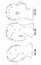 Fig. 23 - SYSTEMS AND METHODS TO GATHER AND ANALYZE ELECTROENCEPHALOGRAPHIC DATA