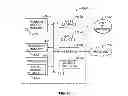 Fig. 51 - SYSTEMS AND METHODS TO GATHER AND ANALYZE ELECTROENCEPHALOGRAPHIC DATA