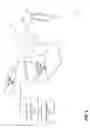 Fig. 04 - Sporadic collection of mobile affect data