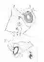 Fig. 07 - OSTOMY LEARNING ASSEMBLIES, KITS, AND METHODS OF MAKING AND USING
