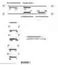 Fig. 27 - HPV DETECTION AND QUANTIFICATION BY REAL-TIME MULTIPLEX AMPLIFICATION