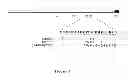 Fig. 02 - Process for the detection and early serotyping of the dengue virus