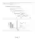 Fig. 04 - Process for the detection and early serotyping of the dengue virus