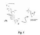 Fig. 02 - ENZYME-PORE CONSTRUCTS