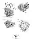 Fig. 03 - ENZYME-PORE CONSTRUCTS