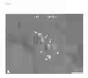 Fig. 07 - Methods of isolating non-senescent cardiac stem cells and uses thereof