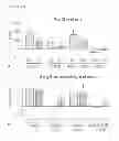 Fig. 22 - Methods of isolating non-senescent cardiac stem cells and uses thereof