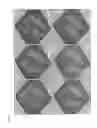 Fig. 32 - Methods of isolating non-senescent cardiac stem cells and uses thereof