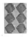 Fig. 33 - Methods of isolating non-senescent cardiac stem cells and uses thereof