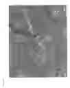 Fig. 34 - Methods of isolating non-senescent cardiac stem cells and uses thereof