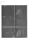 Fig. 40 - Methods of isolating non-senescent cardiac stem cells and uses thereof