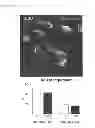 Fig. 58 - Methods of isolating non-senescent cardiac stem cells and uses thereof