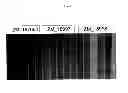 Fig. 07 - Plant transformation without selection