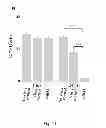 Fig. 05 - DIRECT REPROGRAMMING OF HUMAN FIBROBLASTS TO FUNCTIONAL NEURONS UNDER DEFINED CONDITIONS
