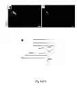 Fig. 12 - DIRECT REPROGRAMMING OF HUMAN FIBROBLASTS TO FUNCTIONAL NEURONS UNDER DEFINED CONDITIONS
