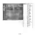 Fig. 19 - METHOD FOR DETECTING MICROORGANISMS