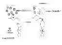 Fig. 01 - Aptamer sensor device