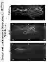 Fig. 07 - Luciferase Reporter System for Roots and Methods of Using the Same