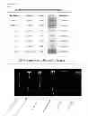 Fig. 14 - Luciferase Reporter System for Roots and Methods of Using the Same