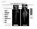 Fig. 15 - Luciferase Reporter System for Roots and Methods of Using the Same