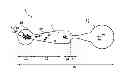 Fig. 01 - Sperm selecting system and the method thereof