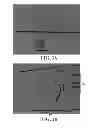 Fig. 03 - Sperm selecting system and the method thereof