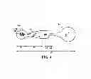 Fig. 04 - Sperm selecting system and the method thereof