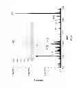 Fig. 09 - Apparatus and methods for microbial identification by mass spectrometry