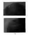 Fig. 14 - Two phase immiscible system for the pretreatment of embedded biological samples