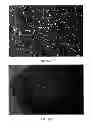 Fig. 15 - Two phase immiscible system for the pretreatment of embedded biological samples