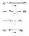 Fig. 02 - Cells and methodology to generate non-segmented negative-strand RNA  viruses