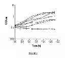 Fig. 02 - Isolation of a protein responsible for uranium (VI) reduction