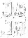 Fig. 05 - Synthetic Substrate for Stem Cell Culture and Methods of Use Thereof