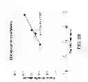 Fig. 08 - Synthetic Substrate for Stem Cell Culture and Methods of Use Thereof
