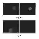 Fig. 06 - Method and medicament for inhibiting the expression of a given gene