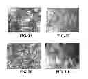 Fig. 04 - Three dimensional cell culture compositions and methods of use