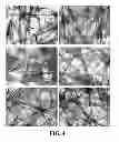 Fig. 05 - Three dimensional cell culture compositions and methods of use